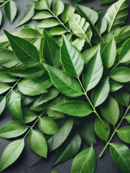 Curry Leaves